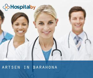 Artsen in Barahona