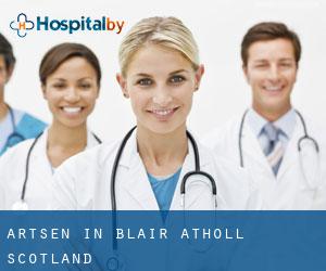 Artsen in Blair Atholl (Scotland)