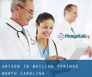Artsen in Boiling Springs (North Carolina)