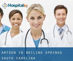 Artsen in Boiling Springs (South Carolina)