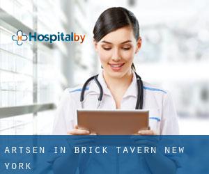 Artsen in Brick Tavern (New York)