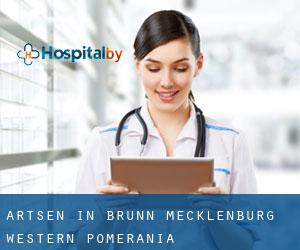 Artsen in Brunn (Mecklenburg-Western Pomerania)