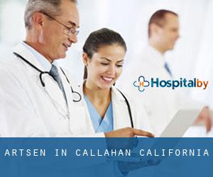 Artsen in Callahan (California)