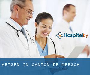 Artsen in Canton de Mersch