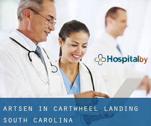 Artsen in Cartwheel Landing (South Carolina)