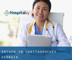 Artsen in Chattahoochee (Georgia)