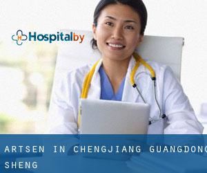 Artsen in Chengjiang (Guangdong Sheng)