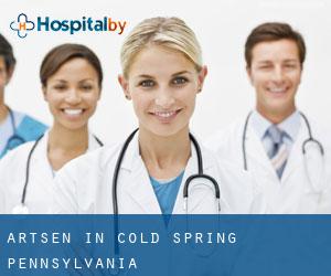 Artsen in Cold Spring (Pennsylvania)