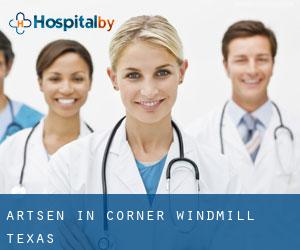 Artsen in Corner Windmill (Texas)