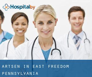 Artsen in East Freedom (Pennsylvania)