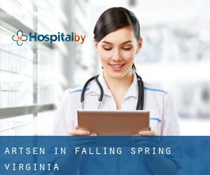 Artsen in Falling Spring (Virginia)