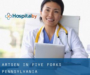 Artsen in Five Forks (Pennsylvania)