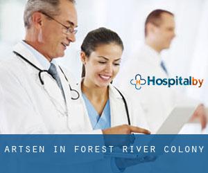 Artsen in Forest River Colony