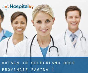 Artsen in Gelderland door Provincie - pagina 1