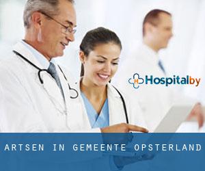 Artsen in Gemeente Opsterland