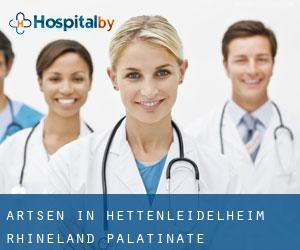 Artsen in Hettenleidelheim (Rhineland-Palatinate)