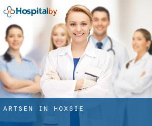 Artsen in Hoxsie