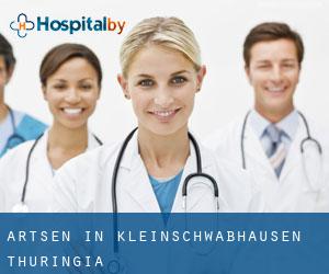 Artsen in Kleinschwabhausen (Thuringia)