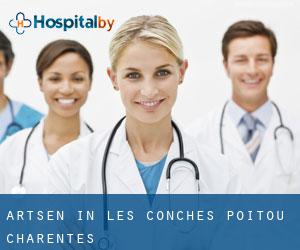 Artsen in Les Conches (Poitou-Charentes)