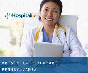 Artsen in Livermore (Pennsylvania)