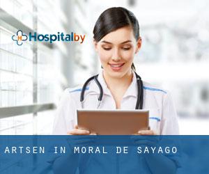 Artsen in Moral de Sayago
