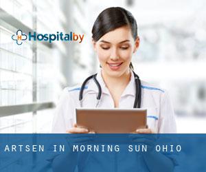 Artsen in Morning Sun (Ohio)