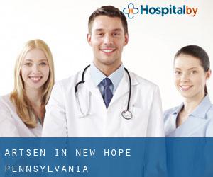 Artsen in New Hope (Pennsylvania)