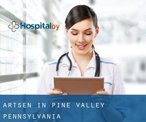 Artsen in Pine Valley (Pennsylvania)