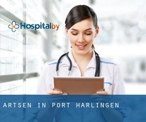 Artsen in Port Harlingen