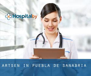 Artsen in Puebla de Sanabria