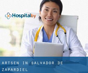 Artsen in Salvador de Zapardiel