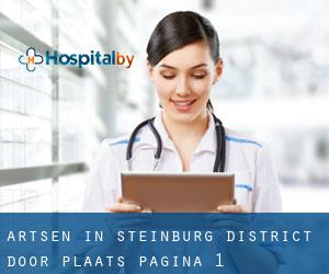 Artsen in Steinburg District door plaats - pagina 1