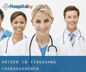 Artsen in Yingshang Chengguanzhen