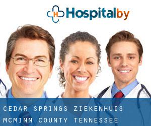 Cedar Springs ziekenhuis (McMinn County, Tennessee)