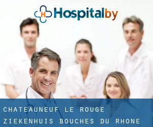 Châteauneuf-le-Rouge ziekenhuis (Bouches-du-Rhône, Provence-Alpes-Côte d'Azur)