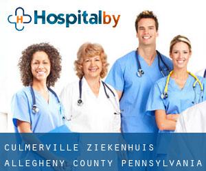 Culmerville ziekenhuis (Allegheny County, Pennsylvania)