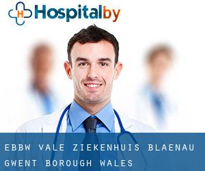 Ebbw Vale ziekenhuis (Blaenau Gwent (Borough), Wales)