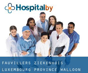 Fauvillers ziekenhuis (Luxembourg Province, Walloon Region)