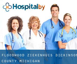 Floodwood ziekenhuis (Dickinson County, Michigan)