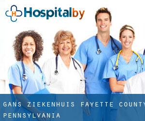 Gans ziekenhuis (Fayette County, Pennsylvania)