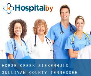 Horse Creek ziekenhuis (Sullivan County, Tennessee)