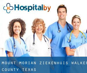 Mount Morian ziekenhuis (Walker County, Texas)
