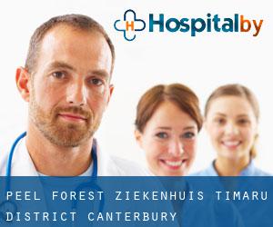 Peel Forest ziekenhuis (Timaru District, Canterbury)