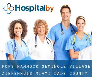 Pops Hammock Seminole Village ziekenhuis (Miami-Dade County, Florida)