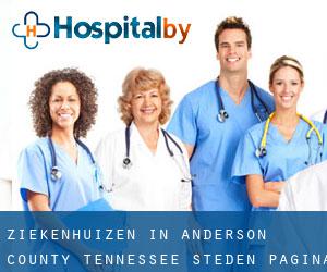 ziekenhuizen in Anderson County Tennessee (Steden) - pagina 1